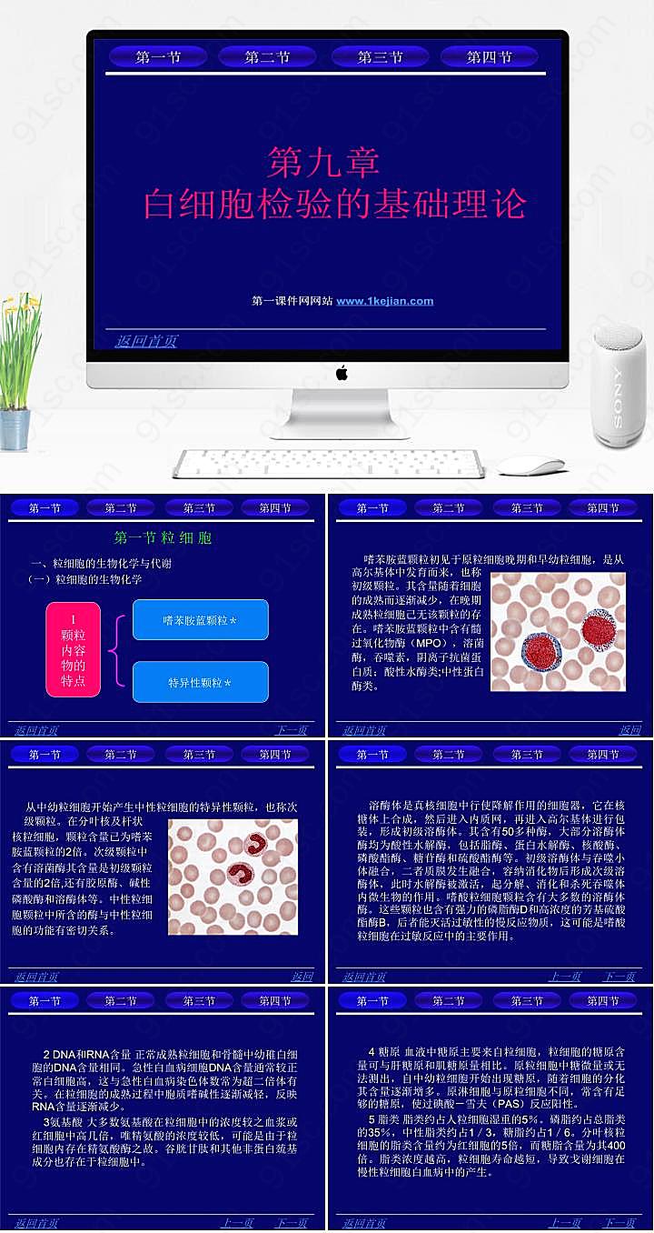 白细胞检验的基础理论