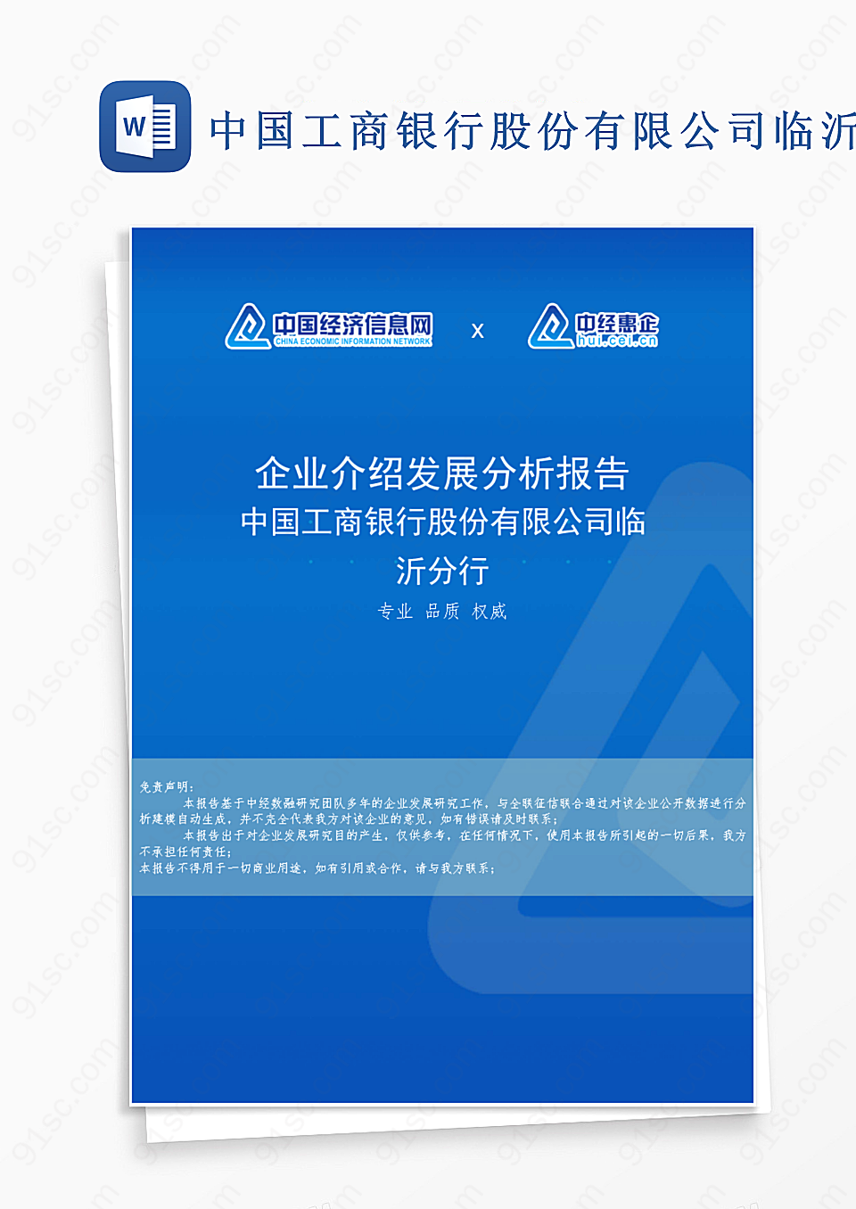中国工商银行股份有限公司临沂分行企业发展策略与分析报告工作范文Word模板下载